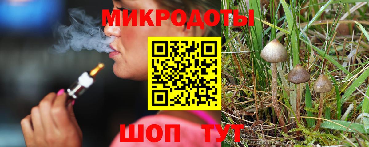 Галлюциногенные грибы Psilocybe  где найти   Вход с VPN  Сочи  Псилоцибиновые грибы Cubensis 