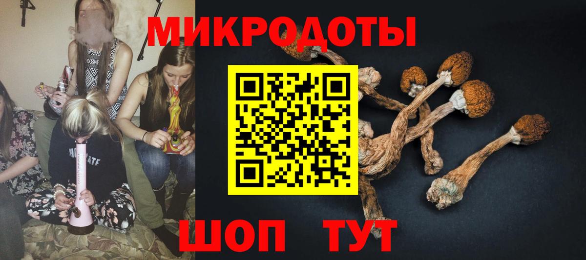 Галлюциногенные грибы Psilocybine cubensis Сочи